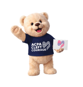 Courage Mail Bear